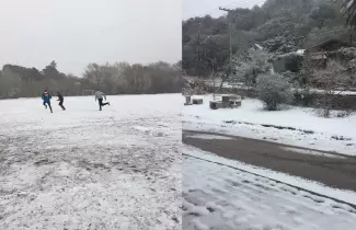 NIEVE-SI-SI