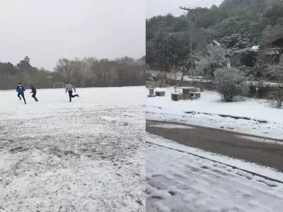 NIEVE-SI-SI