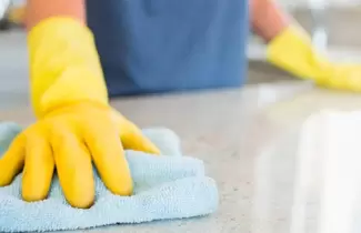 EMPLEO-DOMESTICO