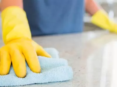 EMPLEO-DOMESTICO