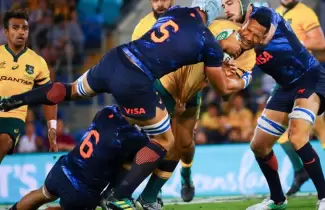 LOS-PUMAS