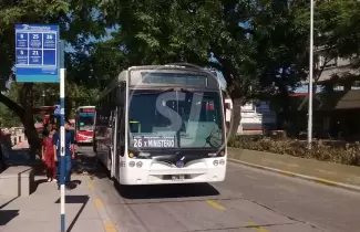 colectivos