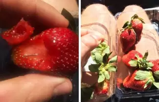 frutillas