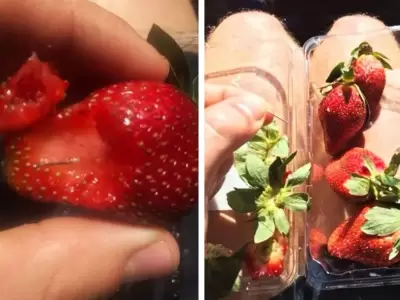 frutillas