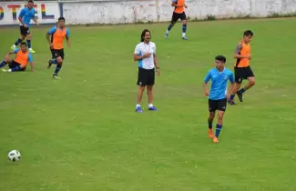 lobo-ok