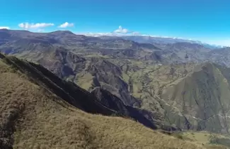 dron
