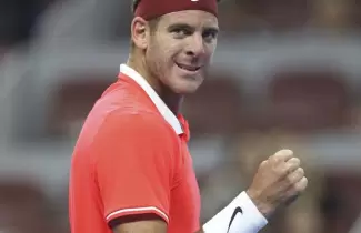 DEL-POTRO-A-LA-FINAL