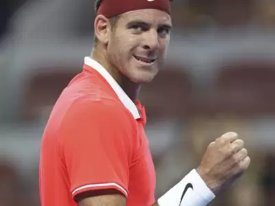 DEL-POTRO-A-LA-FINAL