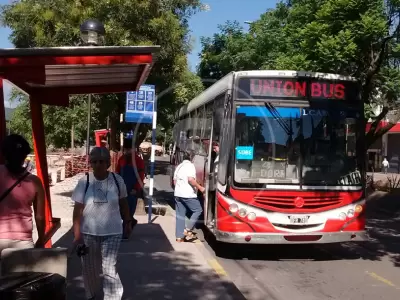 COLECTIVO