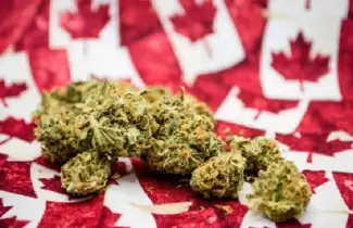 canada-marihuana