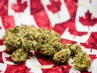 canada-marihuana