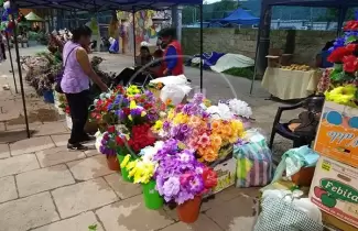 flores