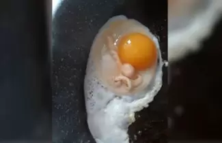 huevook