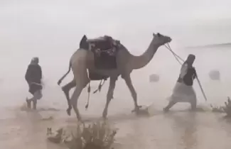 Inundaciones-Arabia
