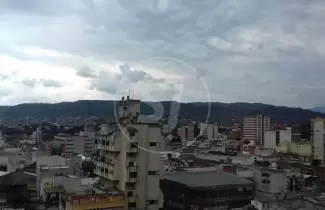 domingo-gris