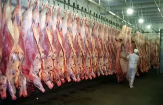 CARNE