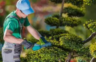 jardineria