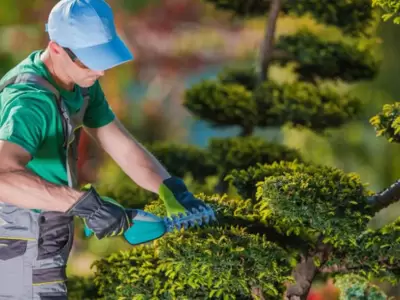 jardineria