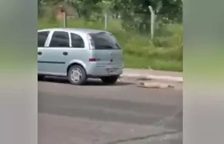 PERRITO-TUCUMAN