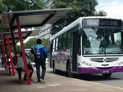 colectivos
