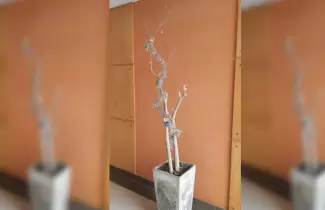 arbol-viral