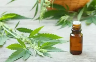 cannabis