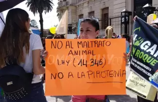 animales-marcha