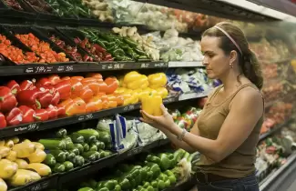 ALIMENTOS