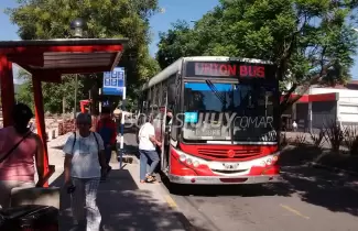 colectivo
