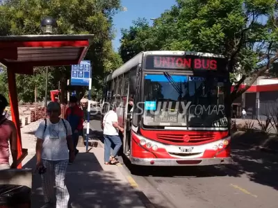 colectivo