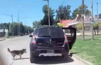 auto-ok