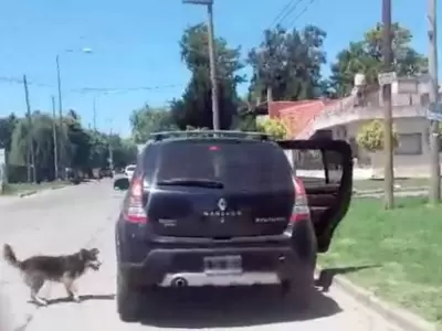 auto-ok