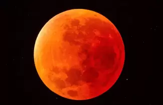 Roja