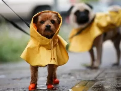LLUVIA