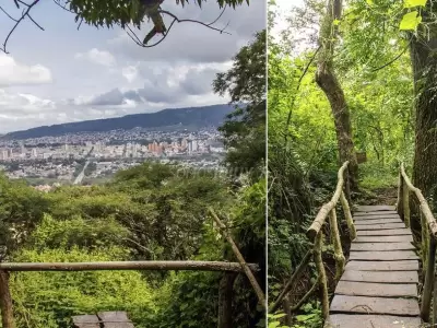 mirador-parque-botanico