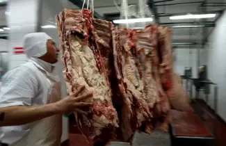 carne-ok