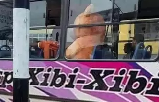 osito