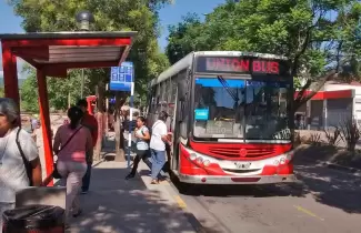 colectivo-