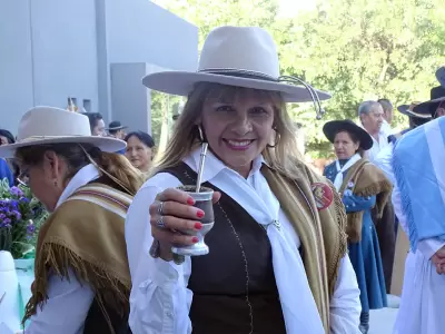 gaucha