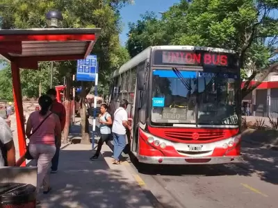 colectivo-