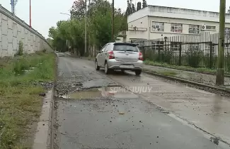 bache