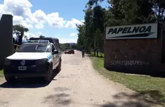 papelnoa-ok