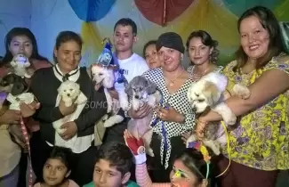 cumple