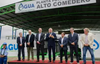 planta