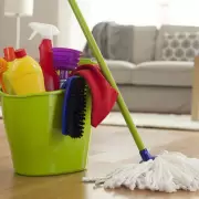 ANMAT prohibió la venta de varios productos de limpieza por falta de registros sanitarios