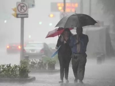 lluvias-lerta