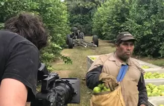 limonn