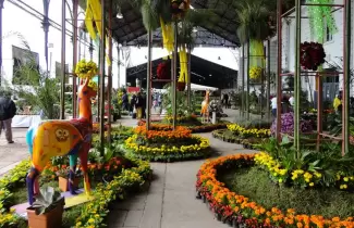 floricultura
