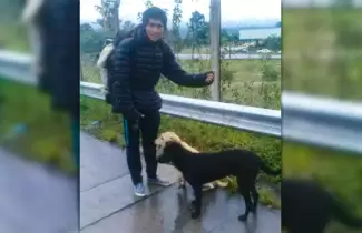 CHICO-Y-PERRITOS