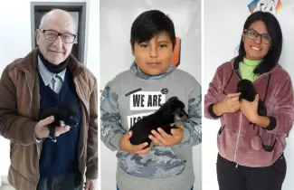 PERRITO